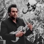 دانلود آهنگ جدید علی نعمتی نوازش